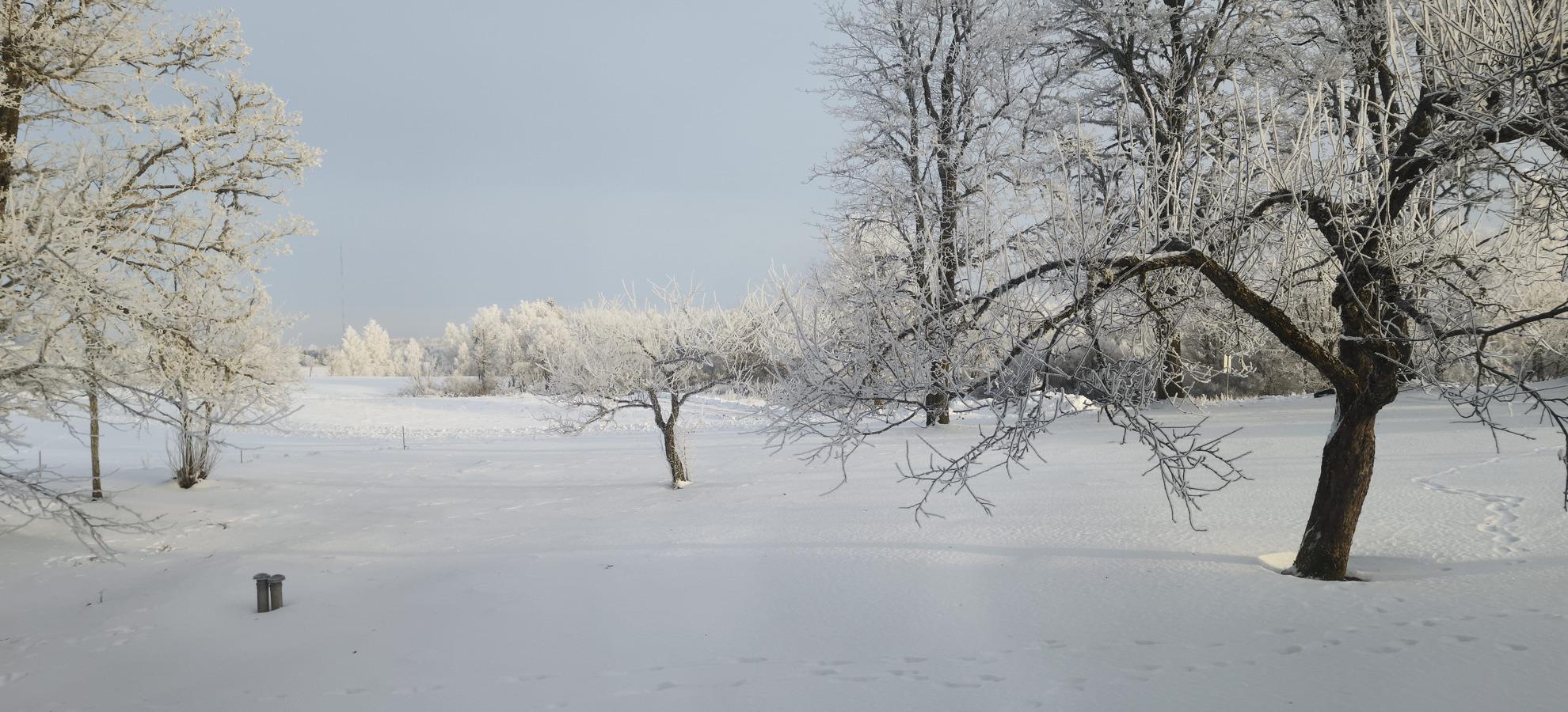 Imeline Talv Valgjarvel 2026